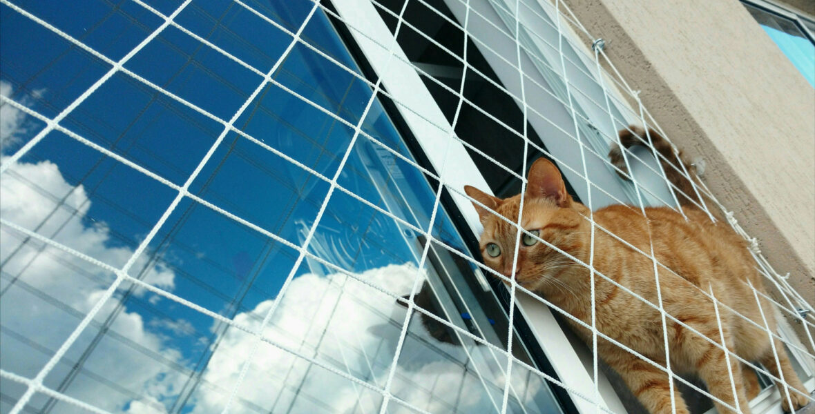 Rede de Proteção para Gatos - Realize Redes